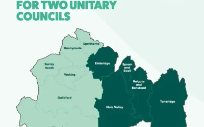Understanding the Postponed Surrey County Council Elections – A Briefing from Neil Lock